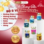 COMBO 2 BOX YẾN HỦ CHƯNG SẲN TẶNG 1 SOUP YẾN ĂN LIỀN - Ảnh 2